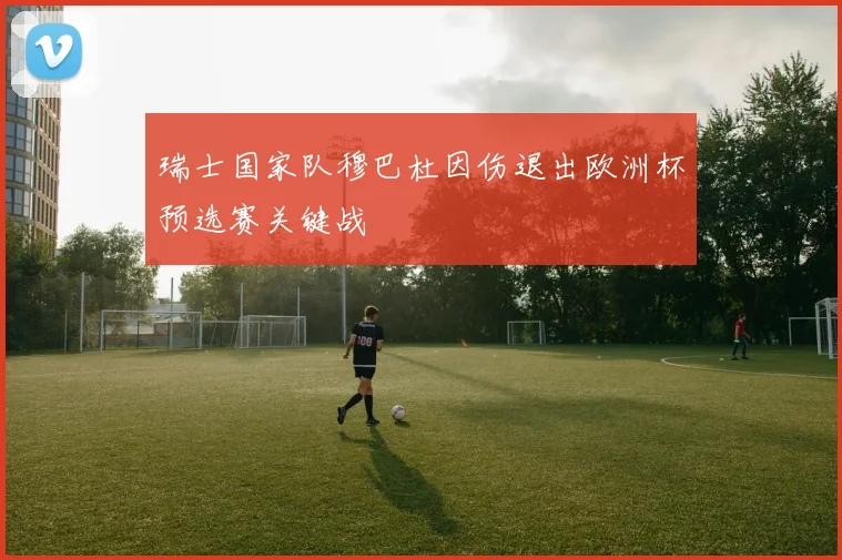瑞士国家队穆巴杜因伤退出欧洲杯预选赛关键战