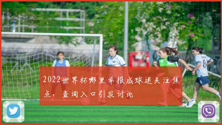 2022世界杯哪里举报成球迷关注焦点，查询入口引发讨论